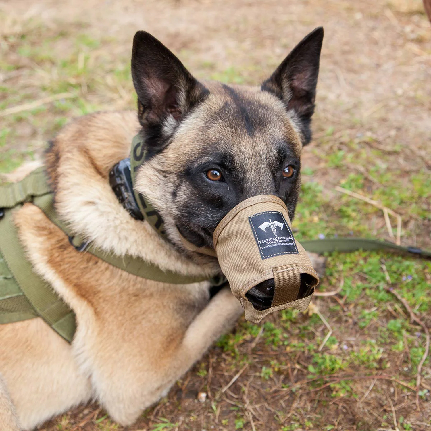 TacMed K9 Muzzle
